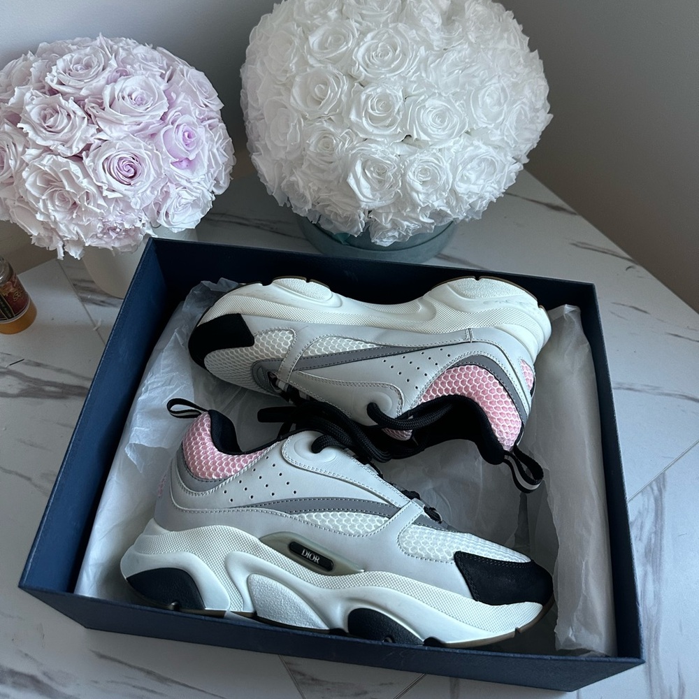 Dior B-22 Sneaker Womens